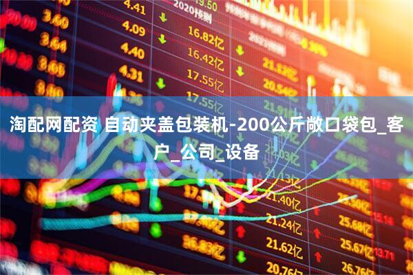 淘配网配资 自动夹盖包装机-200公斤敞口袋包_客户_公司_设备