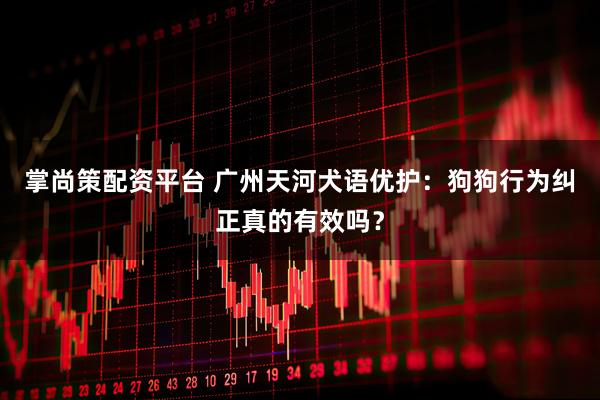 掌尚策配资平台 广州天河犬语优护：狗狗行为纠正真的有效吗？
